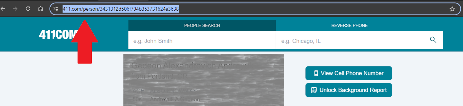 Screenshot of 411com search results URL