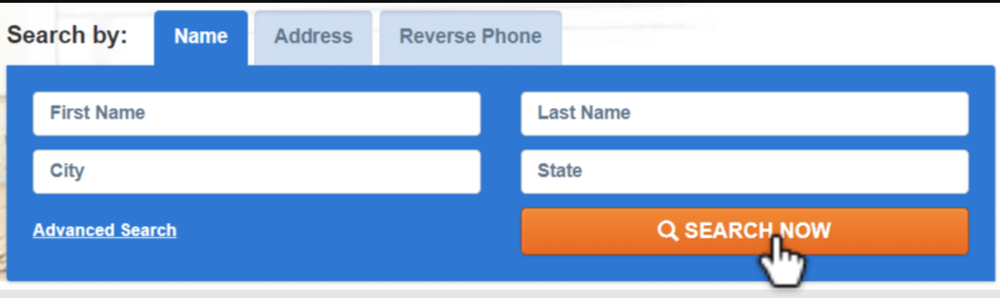 public records now search information