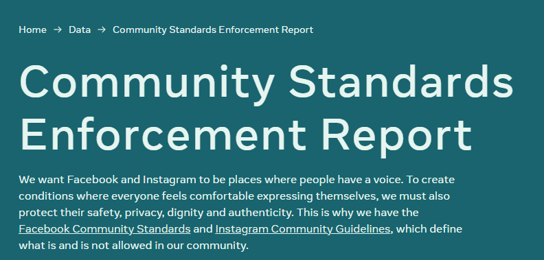 Community standard report instagram