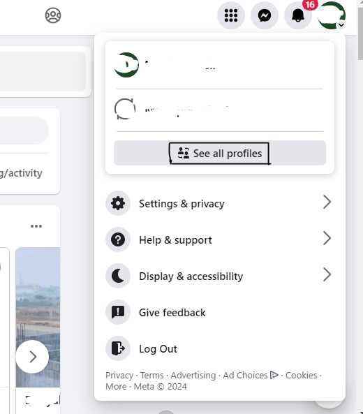 Navigate to se all facebook profiles