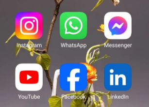 Open the Instagram app