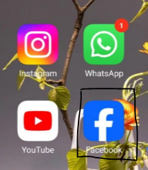 go to facebbook app