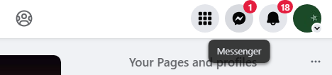 Go to the upper right corner of your screen and select the "Messenger" icon