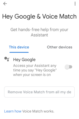 toggle off Hey Google