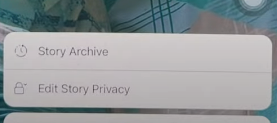 Click on Edit Story Privacy