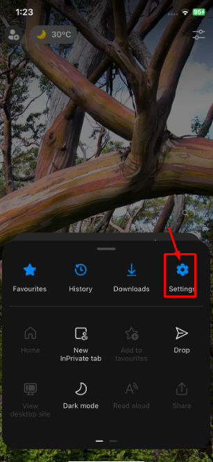 choose Settings