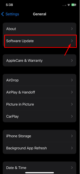 Software update option